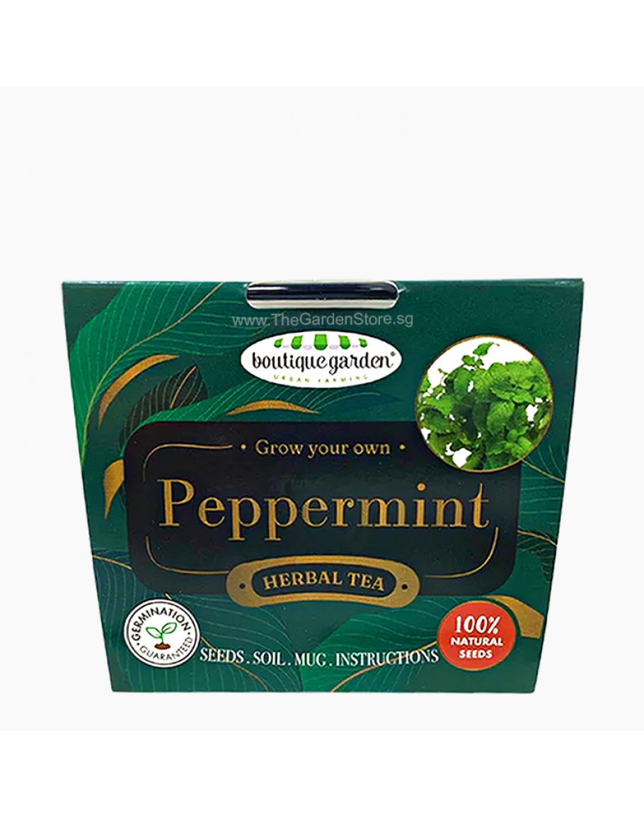 Grow Your Own Peppermint Tea with Enamel Mug